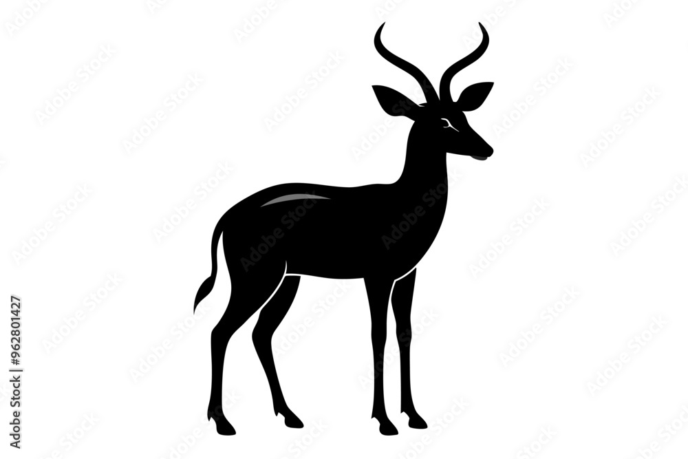 Fototapeta premium bushbuck of silhouette