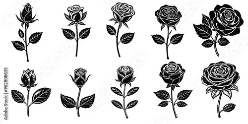 black growing rose set vector illustration generated by ai 