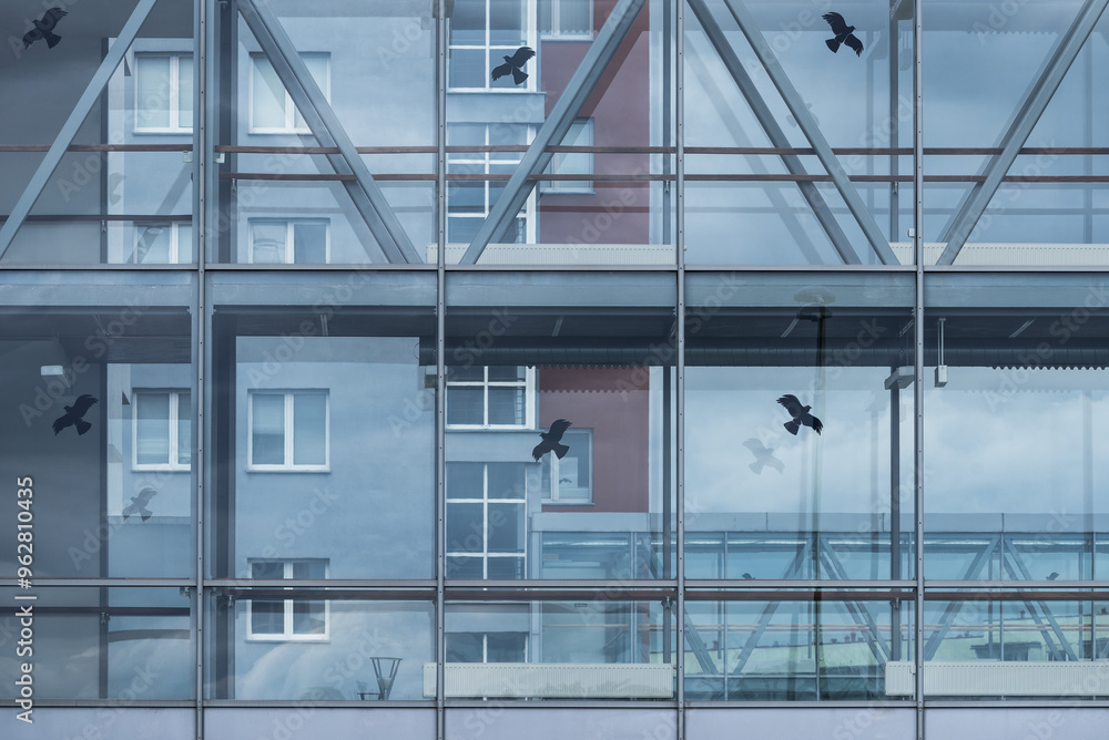 MODERN ARCHITECTURE OF PUBLIC BUILDINGS - Glass walls and attached bird graphics
MODERN ARCHITECTURE OF PUBLIC BUILDINGS - Glass walls and attached bird graphics