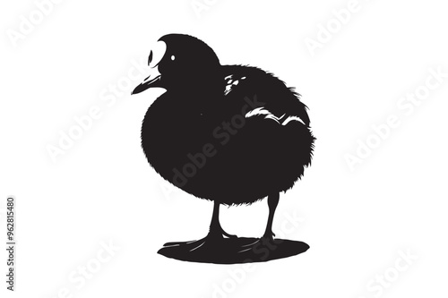 Duck  vector art and illustration photo