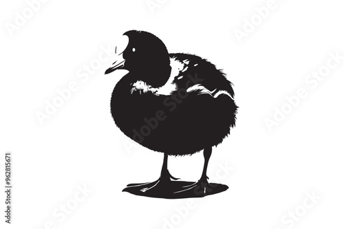 Duck  vector art and illustration photo