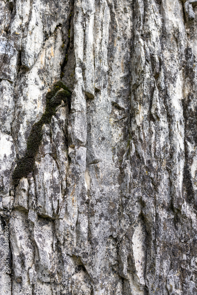 A vertical macro shot of a stone rough texture featuring gray and white tones The photo captures the intricate details and rugged surface of the stone A vertical macro shot of a stone rough texture featuring gray and white tones The photo captures the intricate details and rugged surface of the stone