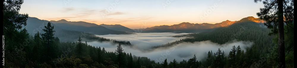 Fototapeta premium A panoramic view of a fog-covered valley at sunrise, with layers of mist rising from the forest and distant mountains bathed in the first light of day