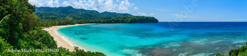 A sweeping view of a tropical coastline with crystal-clear waters gently lapping at a pristine white sandy beach, surrounded by lush greenery under a cloudless sky