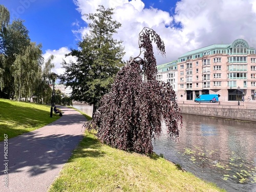 Beautiful cityscape with a black birch tree in the foreground by the river in Gothenburg, Sweden