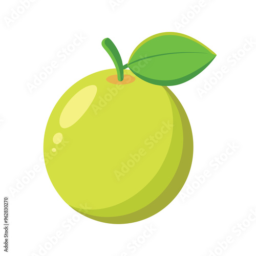 Guava fruit isolated flat vector illustration on white background