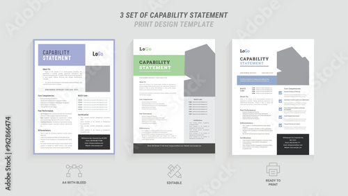 Capability Statement Business Document Template | Professional Flyer Design, 3 Style Layout, Blue & Green Accents, Customizable Capability Statement Template for Corporate & Business Use