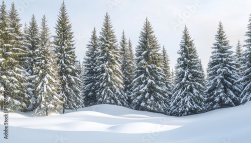 A serene winter landscape featuring snow-covered evergreen trees and gentle drifts of snow under a soft sky.