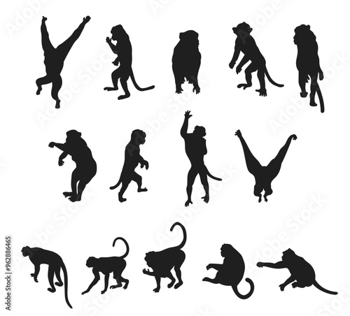 Monkey silhouettes set Vector