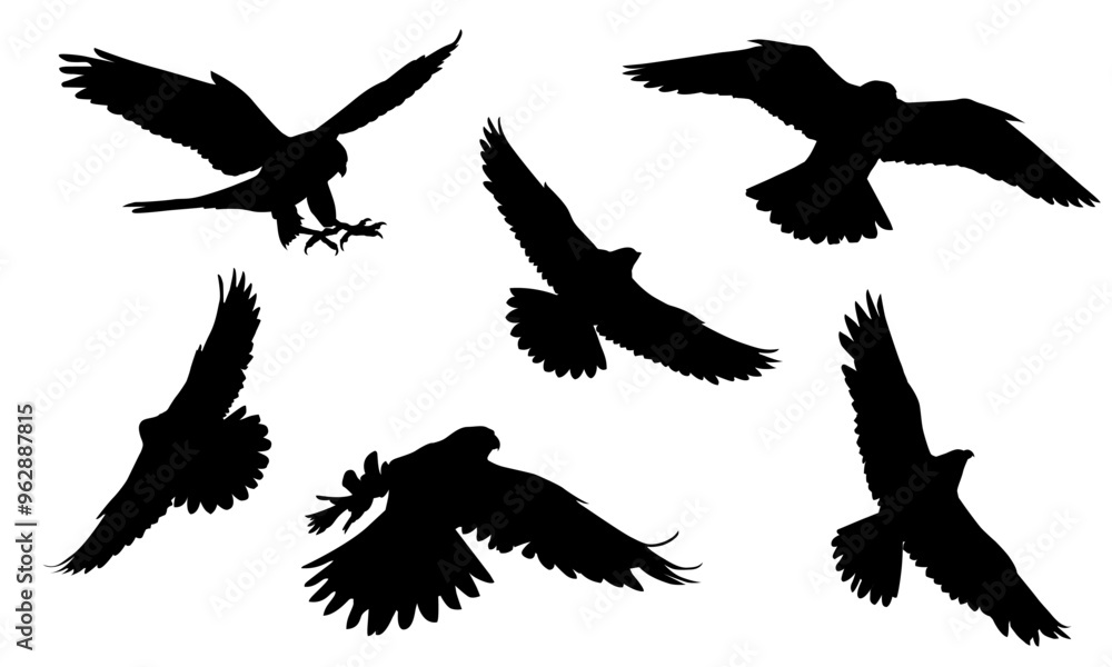 Obraz premium Animals eagle hawk bird fly swoop attack silhouette set collection on white background vector