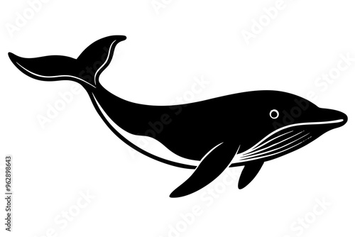 whale silhouette vector illustration