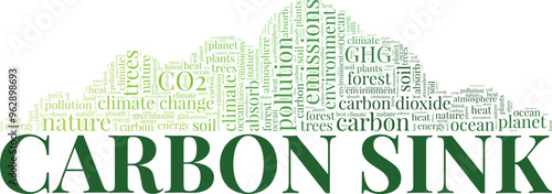 Carbon Sink word cloud conceptual design isolated on white background.