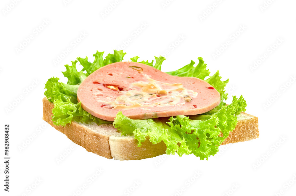 bologna sliced with bread and lettuce leaf isolated bologna sliced with bread and lettuce leaf isolated