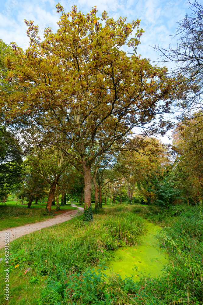 Arboretum of Paris city in the Vincennes wood Arboretum of Paris city in the Vincennes wood