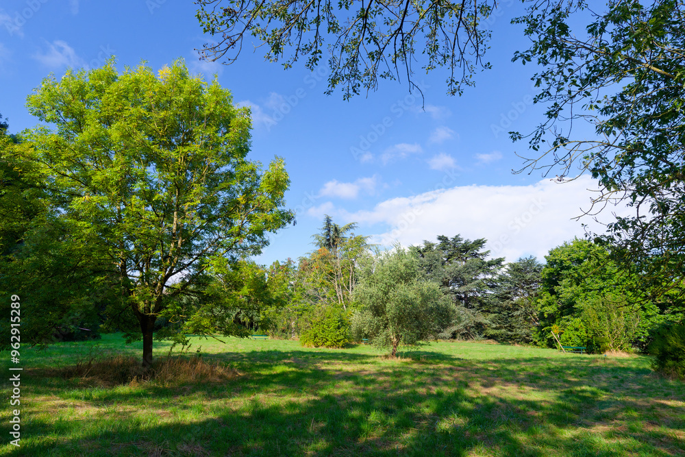 Arboretum of Paris city in the Vincennes wood Arboretum of Paris city in the Vincennes wood