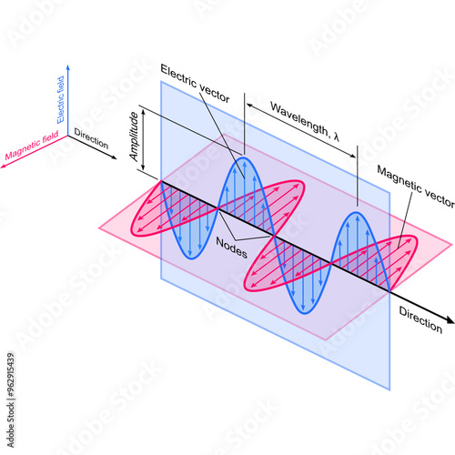 Electromagnetic wave. The illustration shows an electromagnetic wave with perpendicular electric and magnetic field vectors indicating their direction. The amplitude and wavelength are shown.