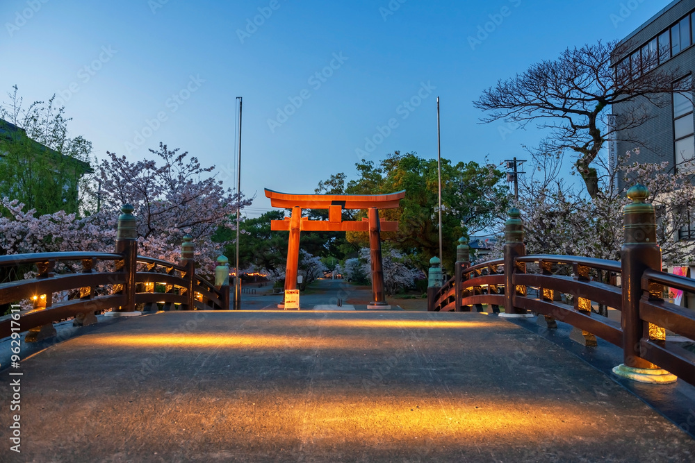 bridge to Mihashira Shrine Torii gate with sakura at night, Yanagawa bridge to Mihashira Shrine Torii gate with sakura at night, Yanagawa