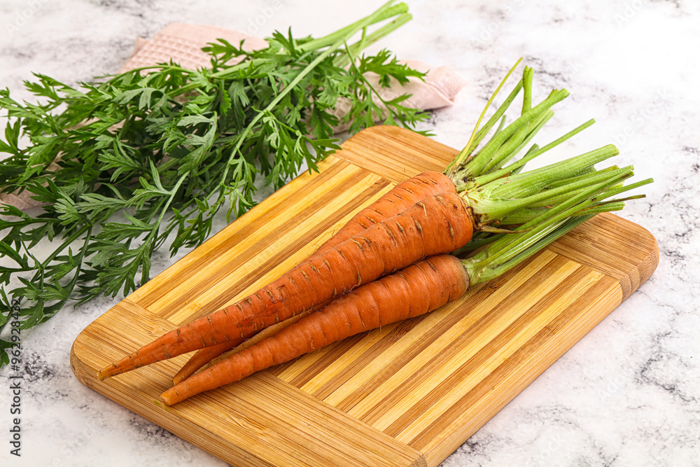 Toung fresh ripe orange carrot