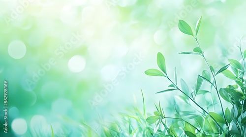 Green Leaves Bokeh Background Nature Spring Summer