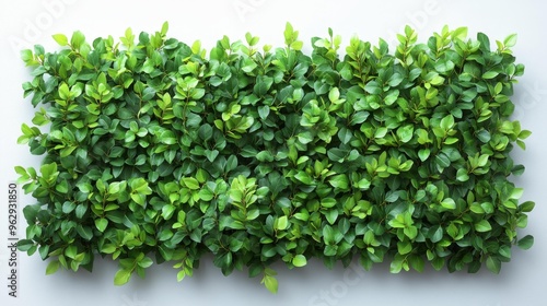 Green Leafy Plant Wall Generative AI