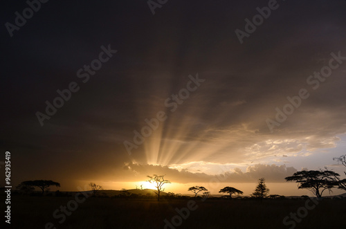 Orage, coucher de soleil, Parc national du Serengeti, Tanzanie, Afrique de l'Est photo