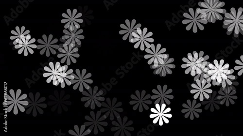 White flowers on black background