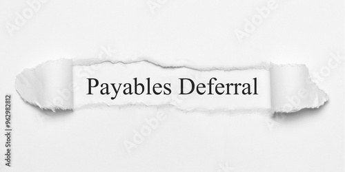 Payables Deferral	 photo