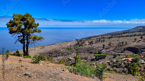 Typical landscape seen from the viewpoint at Museo de Interpretación del Gofio MIGO, Puntagorda, La Palma island, Spain photo