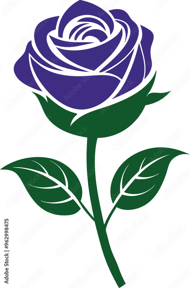 Rose flower vector isolate Rose flower vector isolate