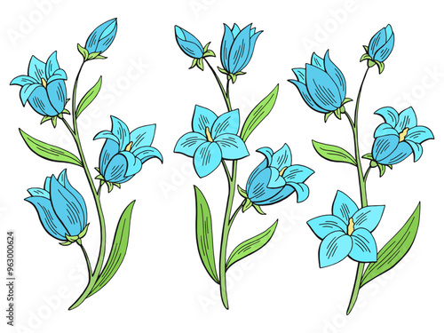 Bluebell flower graphic color isolated sketch set illustration vector