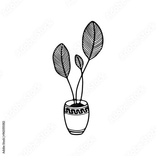 illustration of a potted plant with intricately detailed leaves.