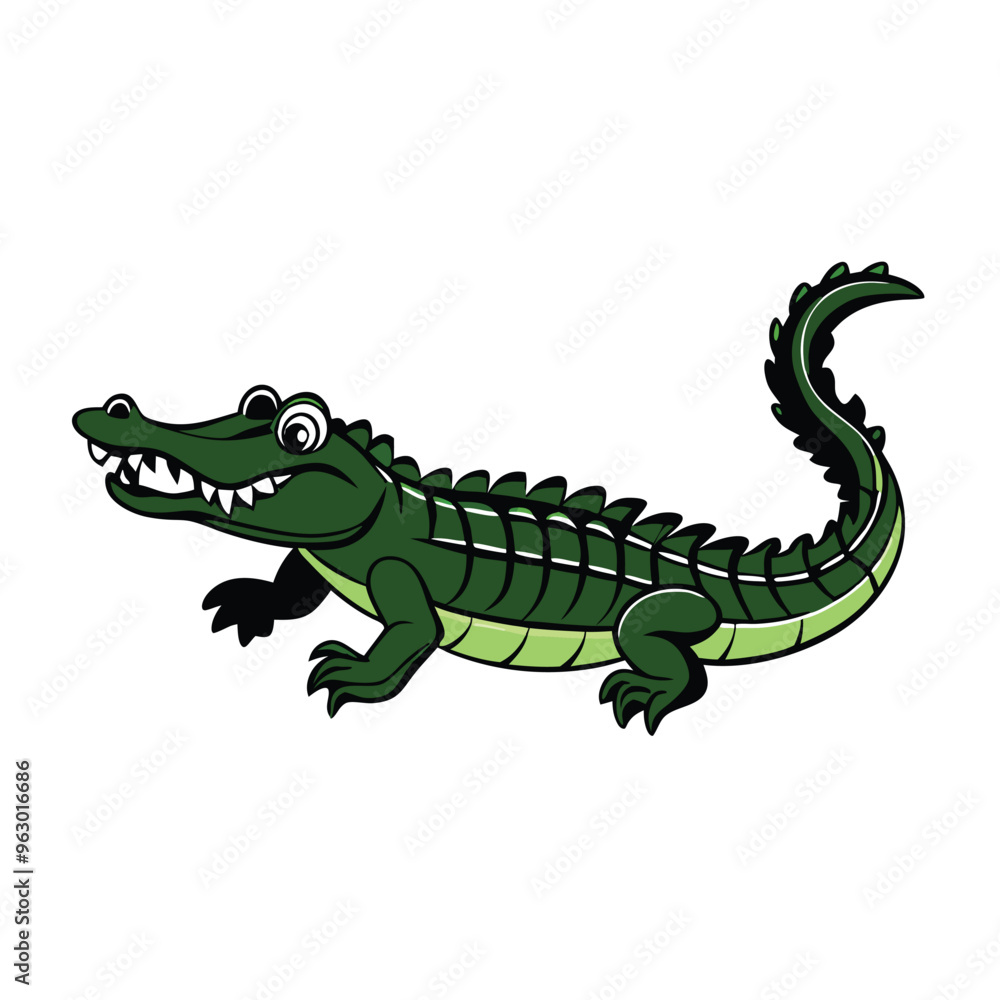 A crocodile with a mouth open and the word alligator, white background, A crocodile with a mouth open and the word alligator, white background,