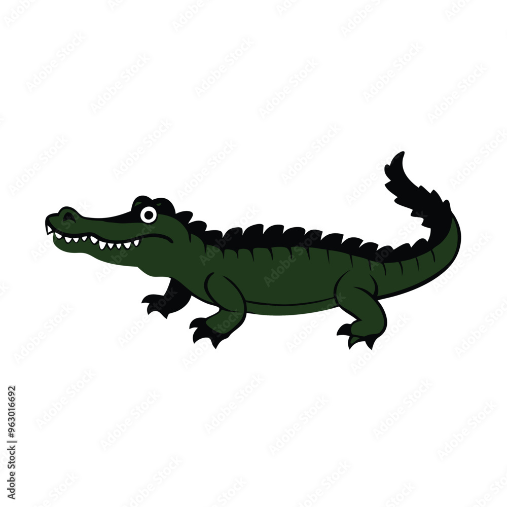 A crocodile with a mouth open and the word alligator, white background, A crocodile with a mouth open and the word alligator, white background,