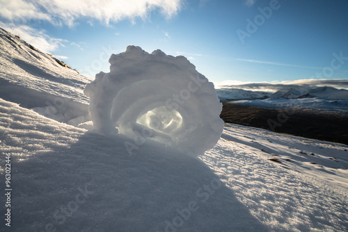 Snow Roller