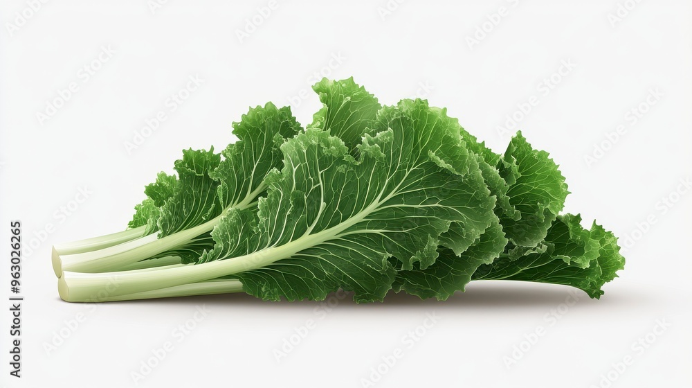 Fresh green vegetable with crisp leaves, perfect for healthy meals and cooking inspiration. Fresh green vegetable with crisp leaves, perfect for healthy meals and cooking inspiration.