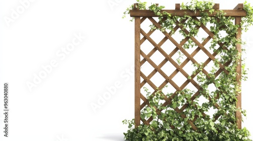 Wooden trellis with climbing plants.