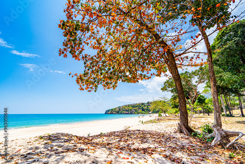 Beautiful beach and sea with changing leaves along the beach on Koh Lanta, Krabi Province, Southern Thailand, Asia. photo