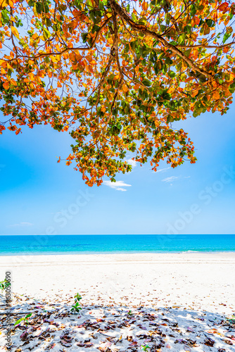 Beautiful beach and sea with changing leaves along the beach on Koh Lanta, Krabi Province, Southern Thailand, Asia. photo