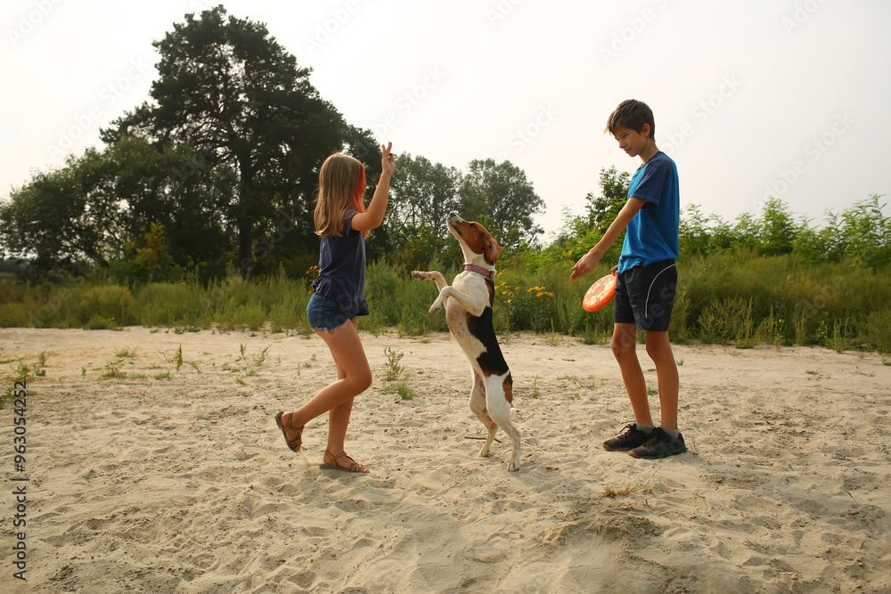 Children training their estonian hound pet on the beach Children training their estonian hound pet on the beach
