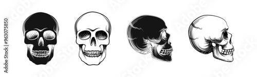 Skull icon. 
Graphic bones symbol. Human skull