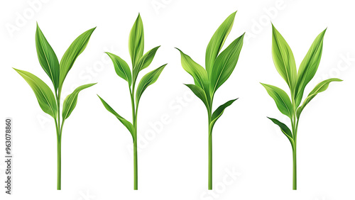 Four green leaf on a transparent background,Four Lily of the valley Leaf Isolated,Four Tropical Plant Leaves,leaf transparent png,Decoration work, green plants,Four green leafed plants, Ai