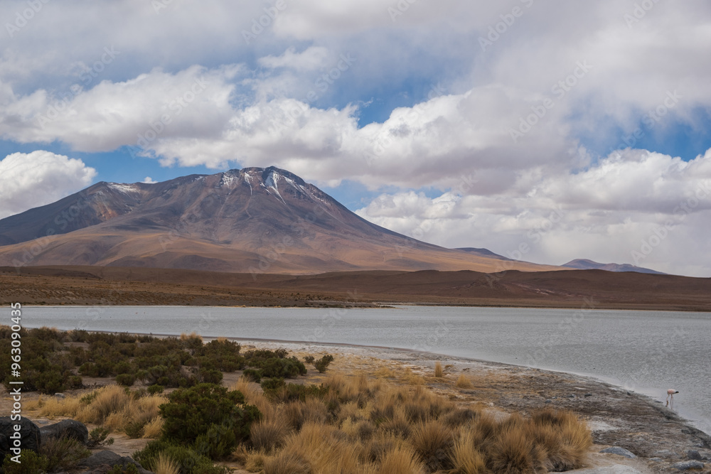 lagoon with flamingos and mountains in the background in the Bolivian Altiplano, Eduardo Avaroa Andean Fauna National Reserve in Bolivia lagoon with flamingos and mountains in the background in the Bolivian Altiplano, Eduardo Avaroa Andean Fauna National Reserve in Bolivia
