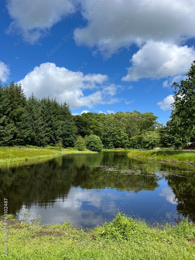 lake in the forest lake in the forest