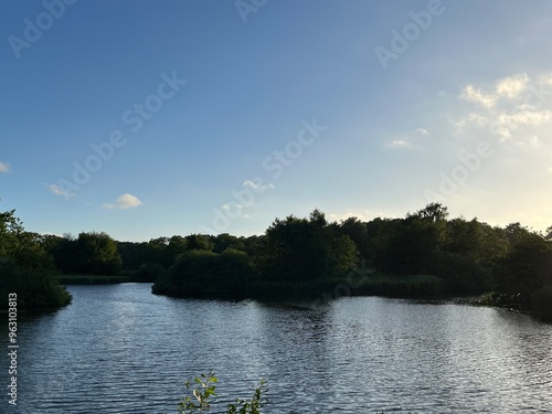 lake and trees