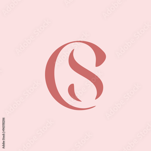 Modern CS monogram logo design for professional branding.