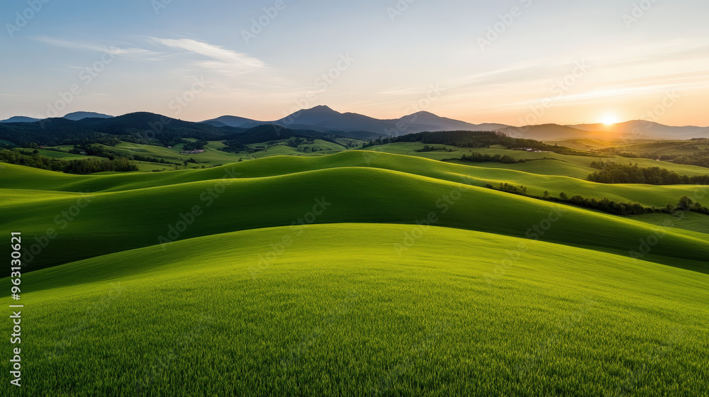 Green meadow stretches towards the blue sky, creating a peaceful countryside panorama Green meadow stretches towards the blue sky, creating a peaceful countryside panorama