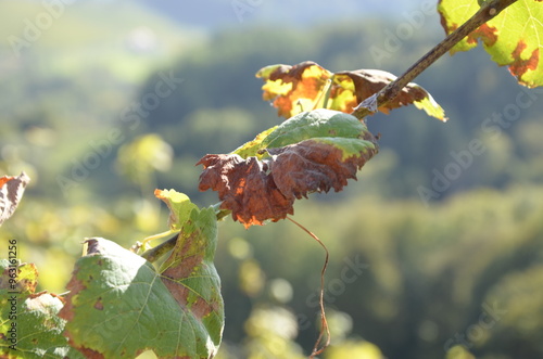 Natur, Urlaub, Reisen, Häuser, Meer, 