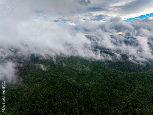 Forests after rain. Aerial mountain landscape. Clouds of fog coming out of the forest after a summer rain. Green forest tree landscape.