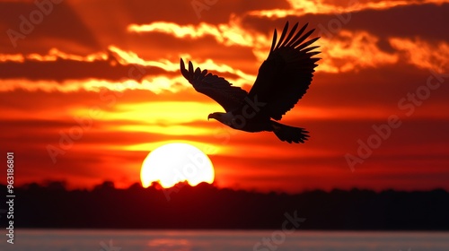 Fototapeta Naklejka Na Ścianę i Meble -  42. A breathtaking sunset view with a silhouette of a lone eagle soaring