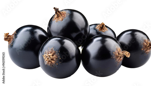 Black currant on a white background photo